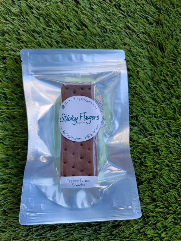 Mint Chocolate Ice Cream Sandwich